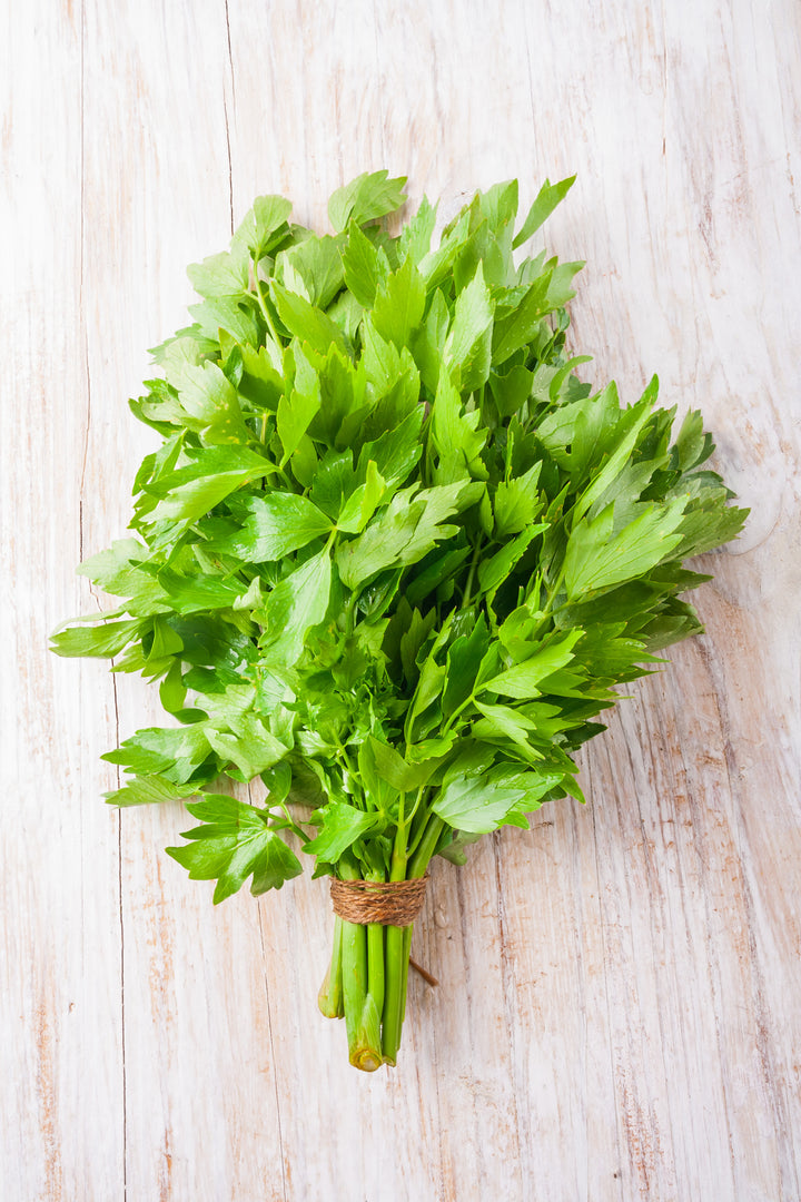 Bio-Liebstöckel (Maggikraut)-Levisticum officinale
