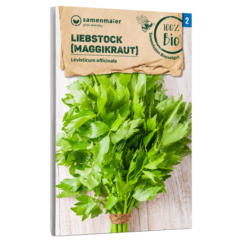 Bio-Liebstöckel (Maggikraut) Samen