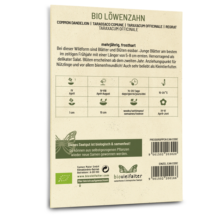 Bio-Löwenzahn Saatgut