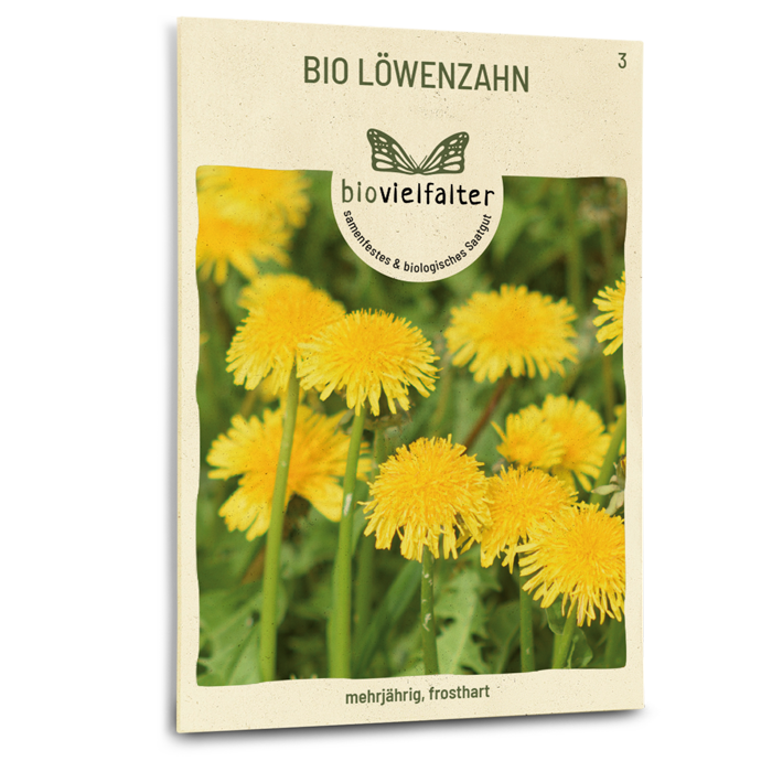 Bio-Löwenzahn Samen
