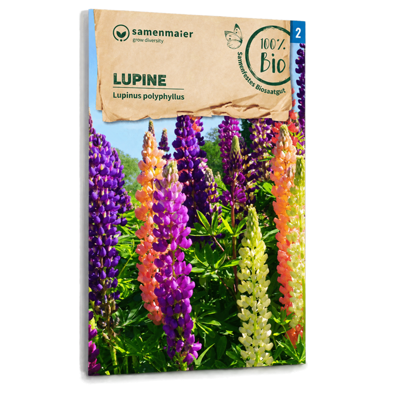 Bio-Lupine Mischung Samen