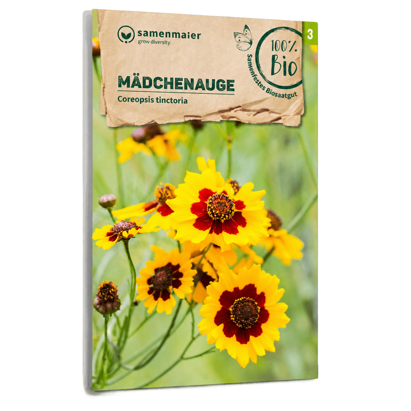 Bio-Mädchenauge Samen