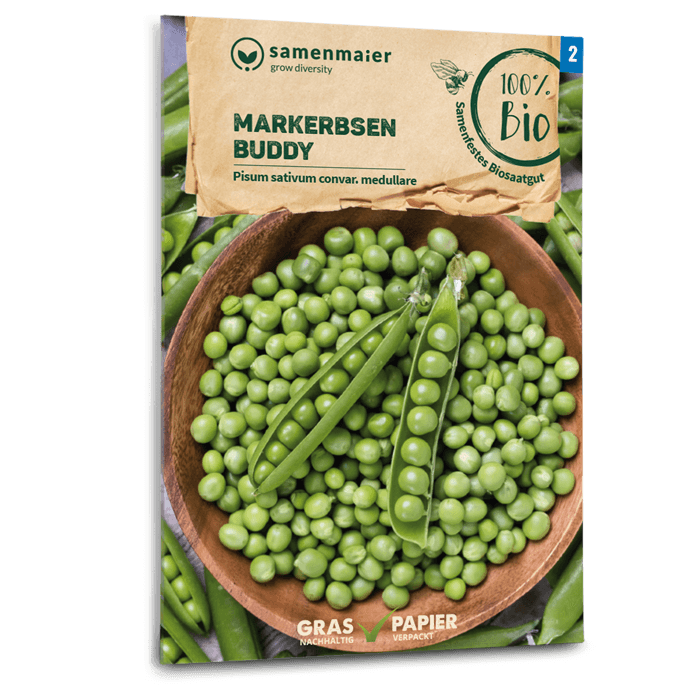 Bio-Markerbse 'Buddy' Samen