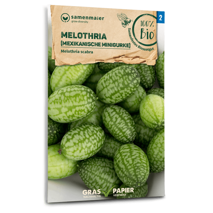 Bio-Mexikanische Minigurke Samen