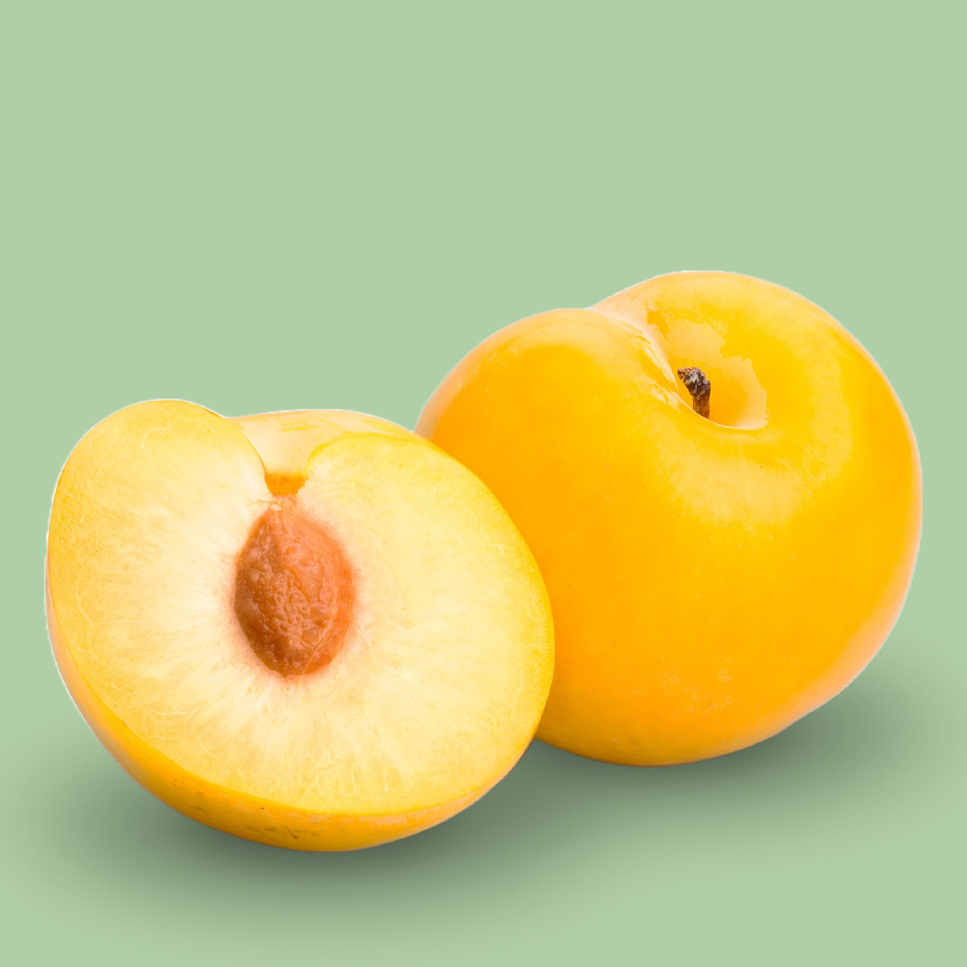 Früchte des Bio-Mirabellenbaums 'Bellamira'