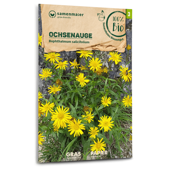 Bio-Ochsenauge Wildblume