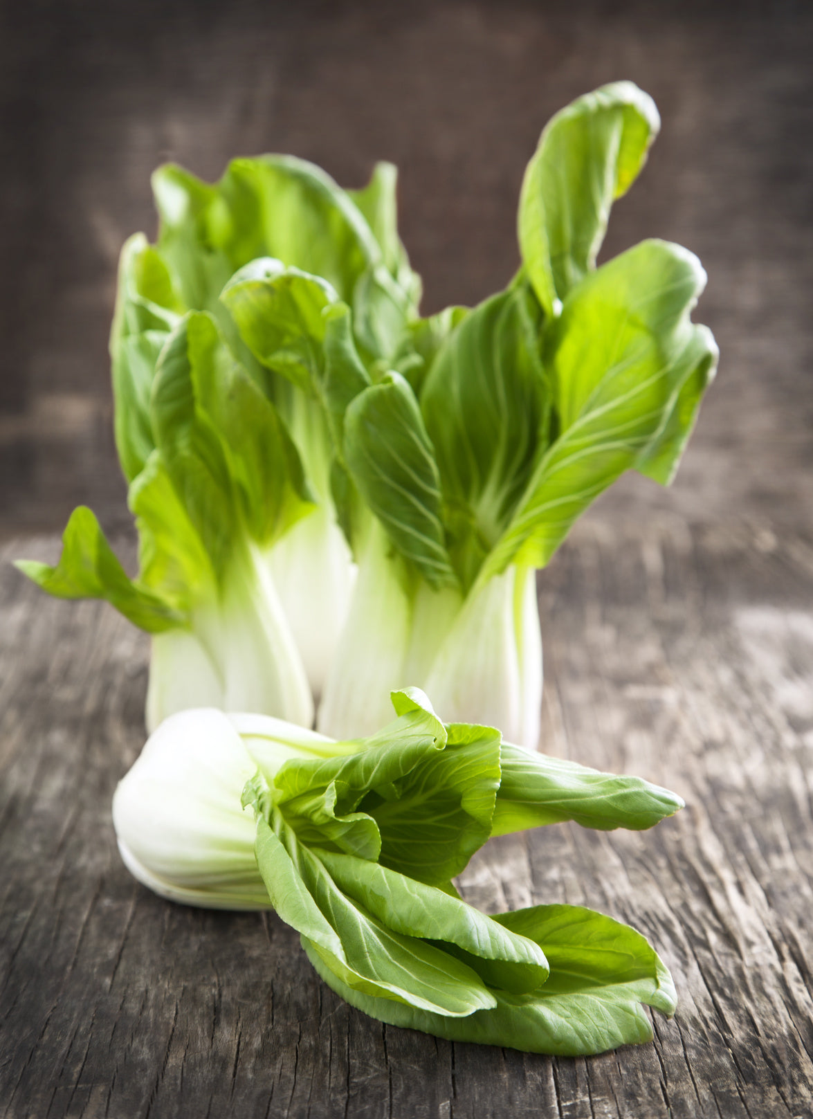 Bio-Pak Choi-Brassica rapa var. chinensis