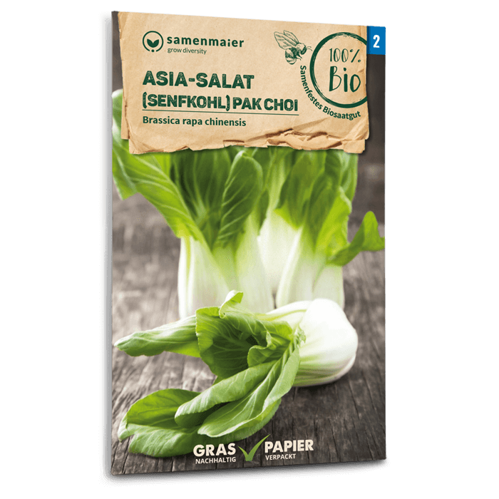Bio-Pak Choi Samen