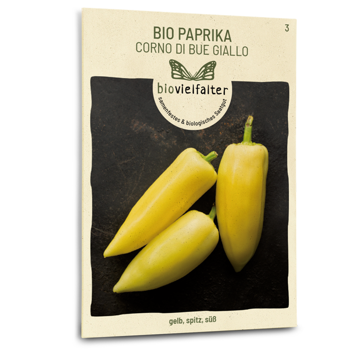 Bio-Paprika 'Corno di bue giallo' Samen