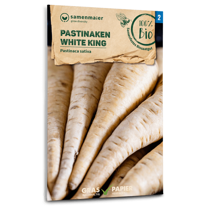 Bio-Pastinaken 'White King' Samen