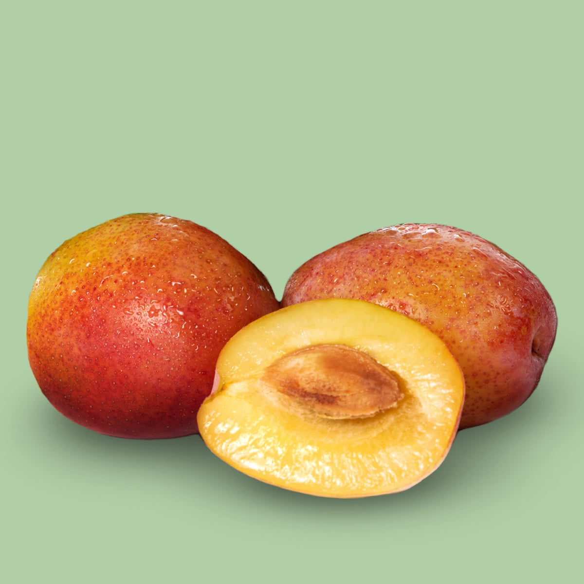 Früchte des Bio-Pflaumenbaums 'Königin Viktoria'