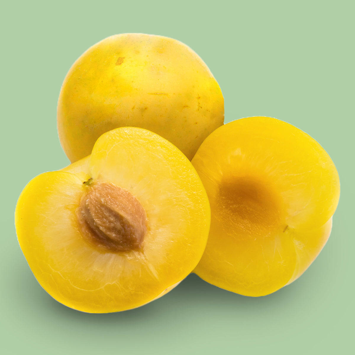 Früchte des Bio-Pflaumenbaums 'Rheingold'