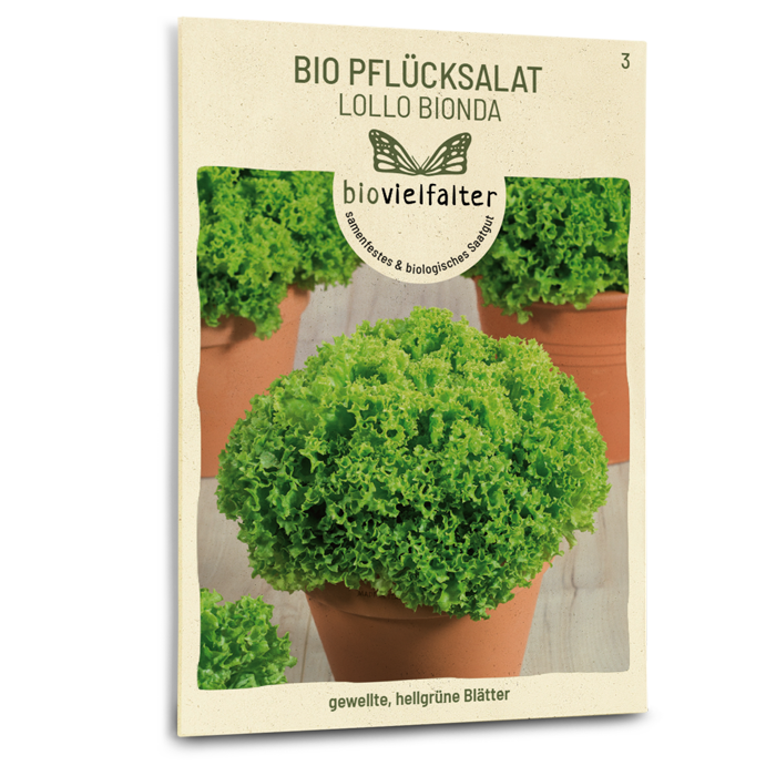 Bio-Pflücksalat 'Lollo Bionda' Samen
