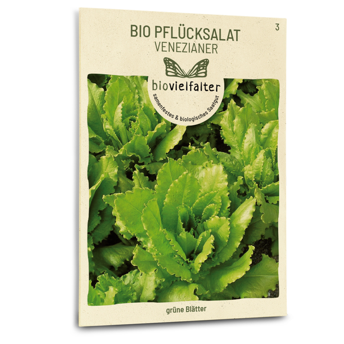 Bio-Pflücksalat 'Venezianer' Samen