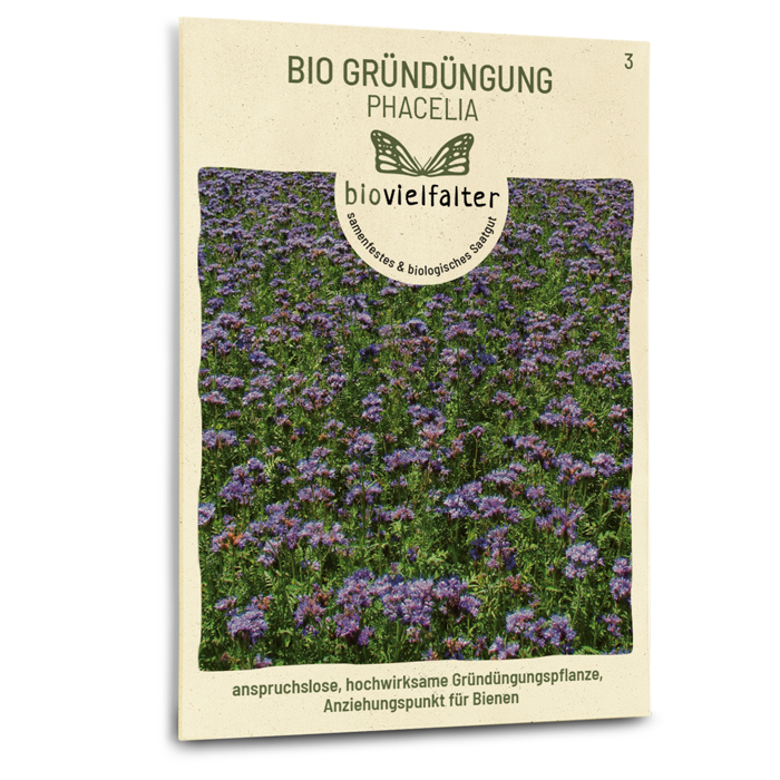 Bio-Phacelia Gründüngung Samen