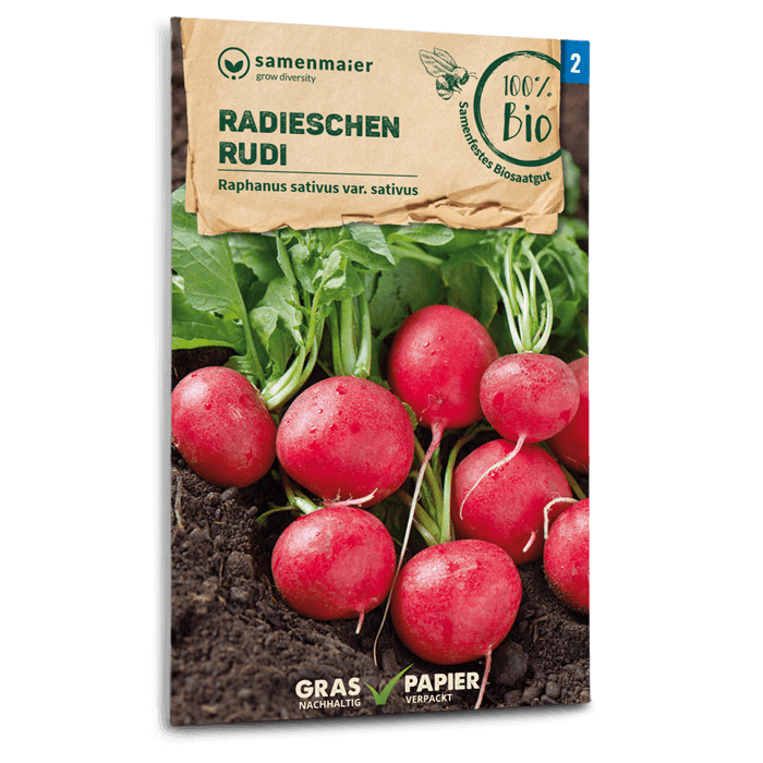 Bio-Radieschen 'Rudi' Samen