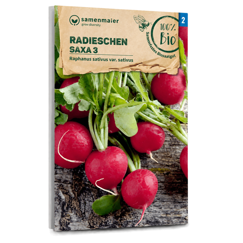 Bio-Radieschen 'Saxa 3' Samen
