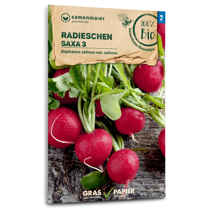 Bio-Radieschen 'Saxa 3' Samen