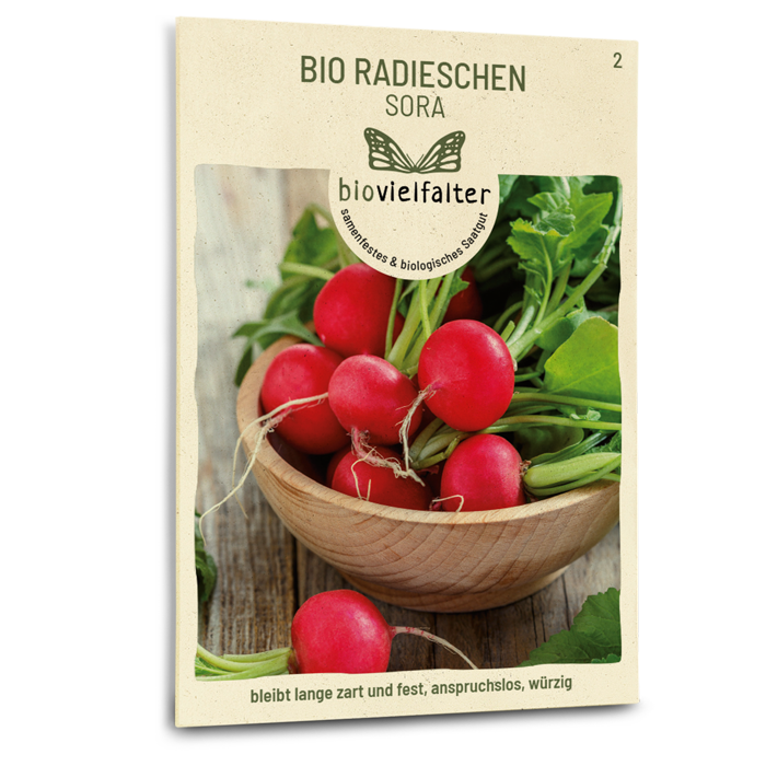Bio-Radieschen 'Sora' Samen