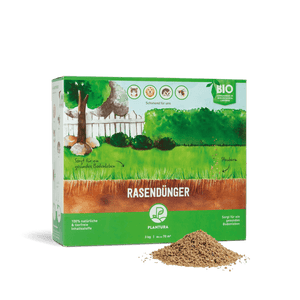 Bio-Rasendünger 3 kg (Box)