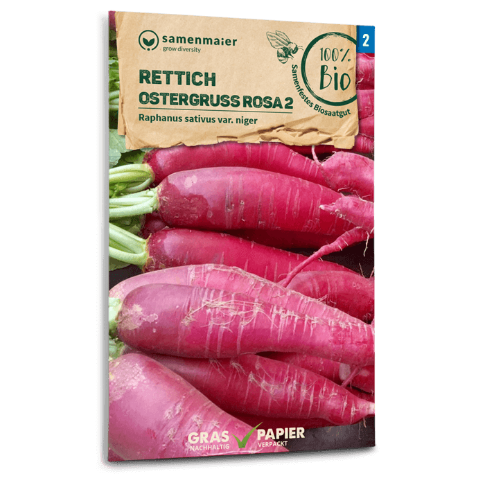 Bio-Rettich 'Ostergruß rosa 2' Samen