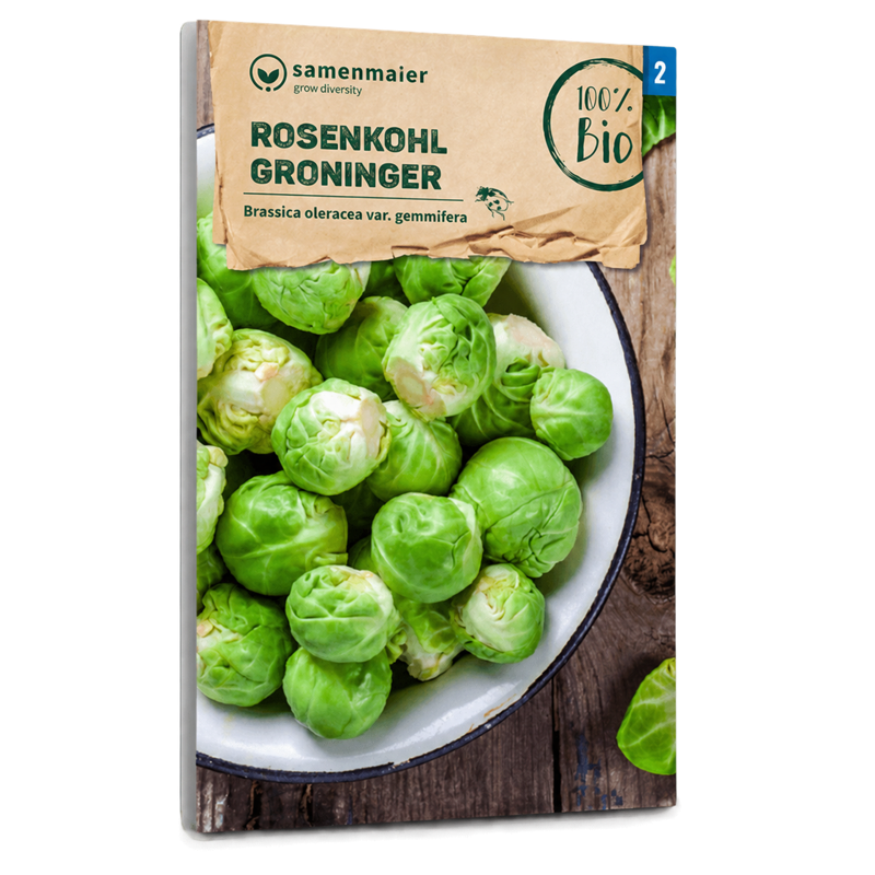 Bio-Rosenkohl 'Groninger' Samen
