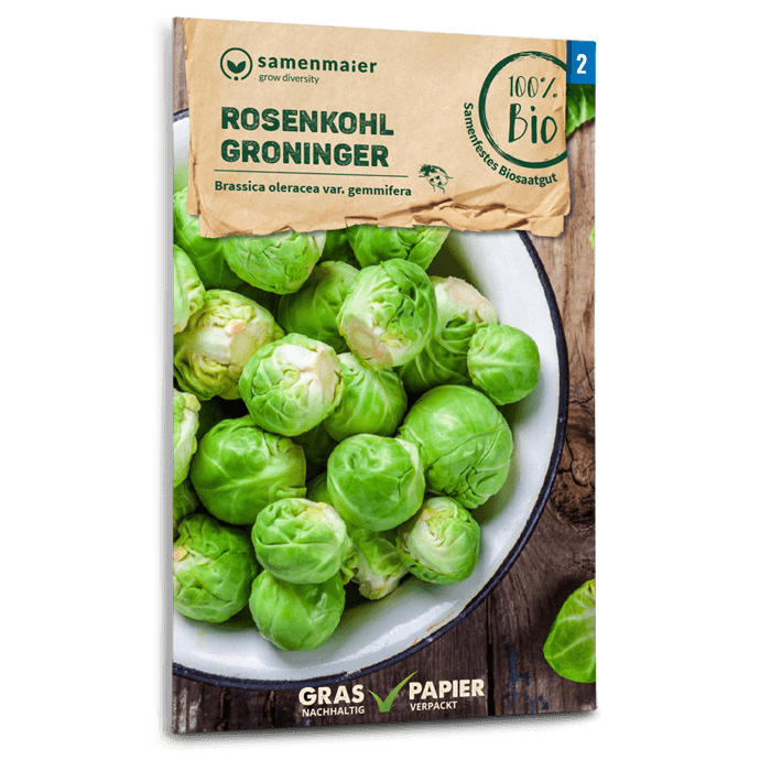 Bio-Rosenkohl 'Groninger' Samen