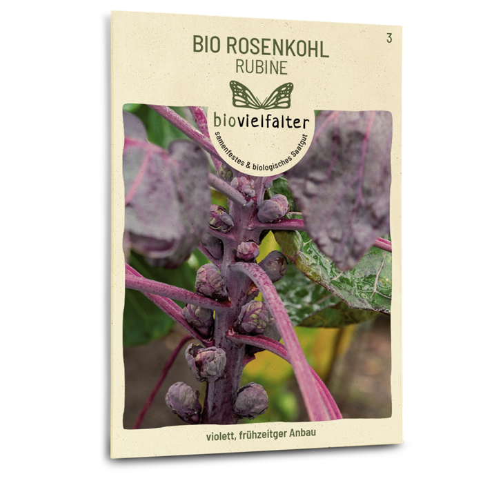 Bio-Rosenkohl 'Rubine' Samen