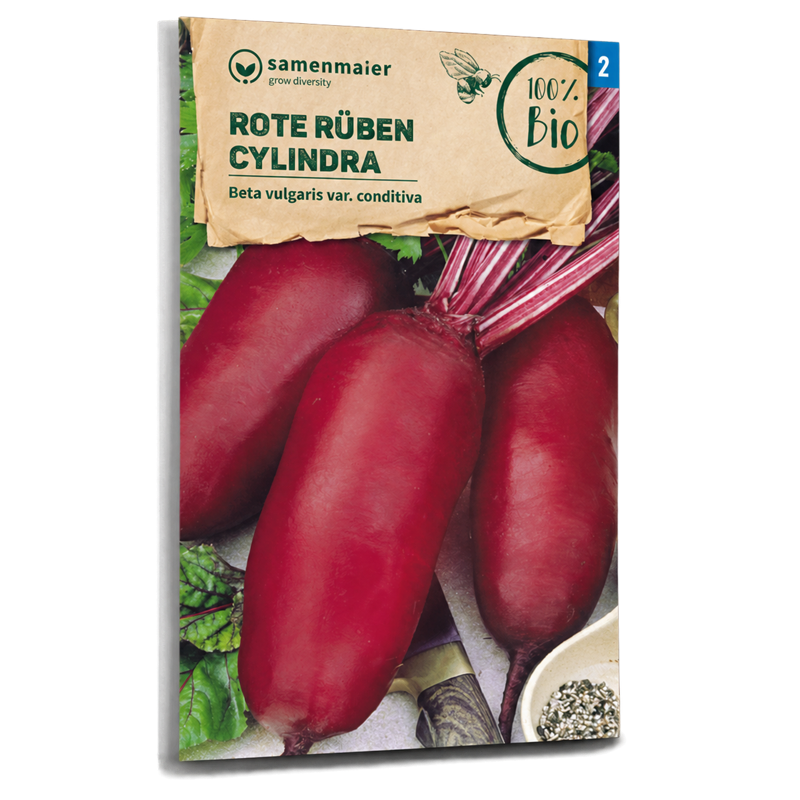 Bio-Rote Beete 'Cylindra' Lang Samen