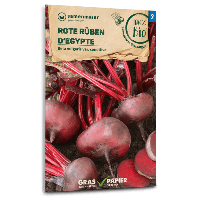 Bio-Rote Beete 'D'Egypte' Samen