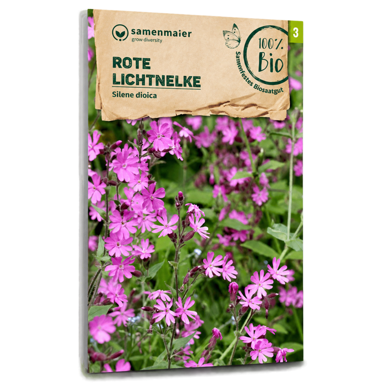 Bio-Rote Lichtnelke Wildblume Samen