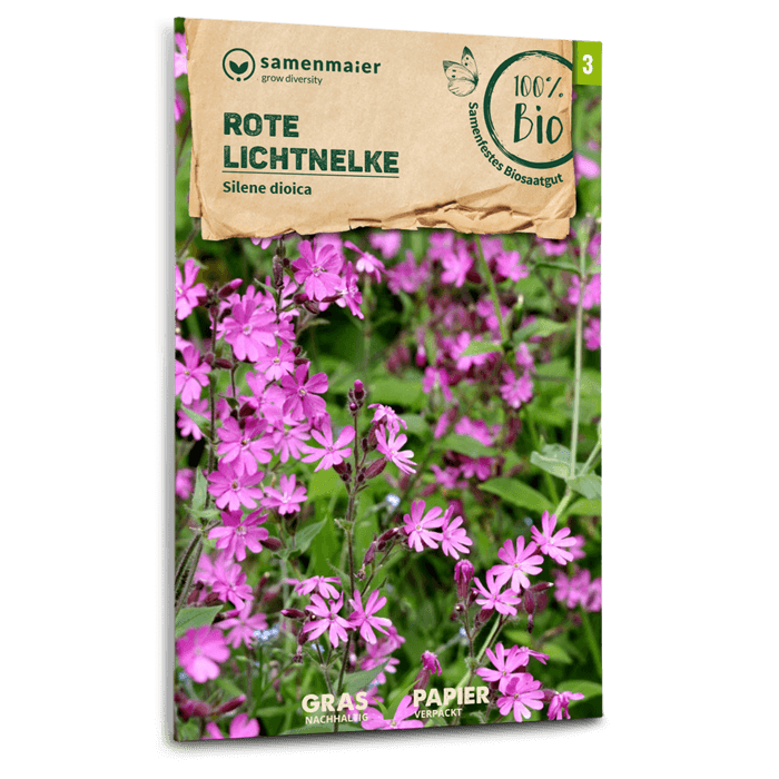 Bio-Rote Lichtnelke Wildblume Samen