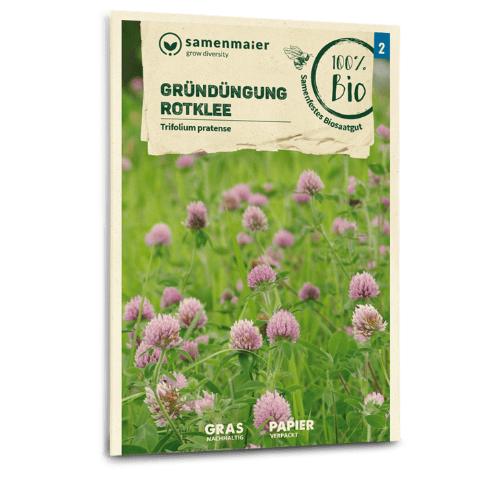 Bio-Rotklee Gründüngung Samen