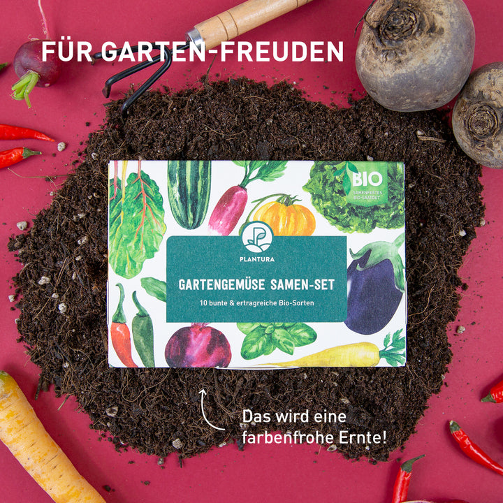 Gartengemüse Samen-Set in der Saatgut Aktionsbox