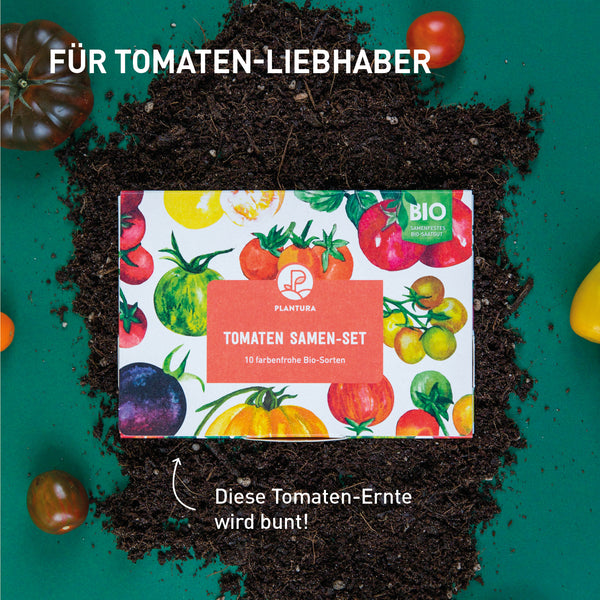 Tomaten Samen-Set in der Saatgut Aktionsbox