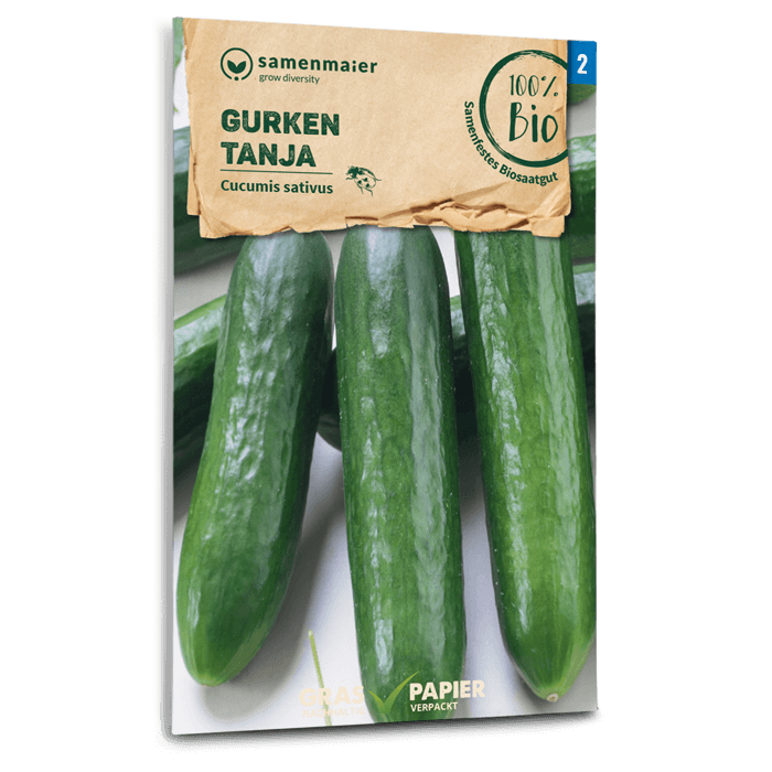 Bio-Salatgurke 'Tanja' Samen