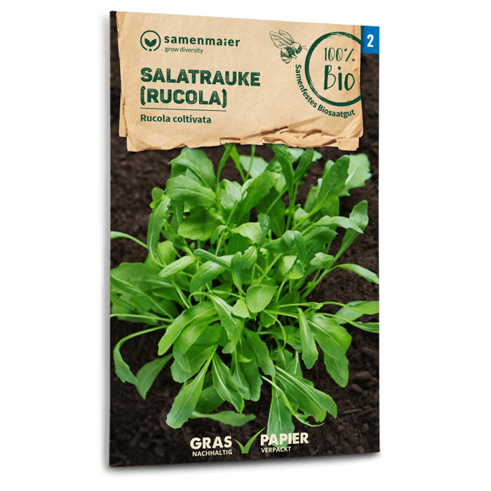 Bio-Salatrauke (Rucola) Samen