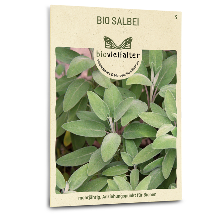 Bio-Salbei Samen