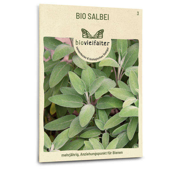 salbei saatgut Bio-Salbei kaufen