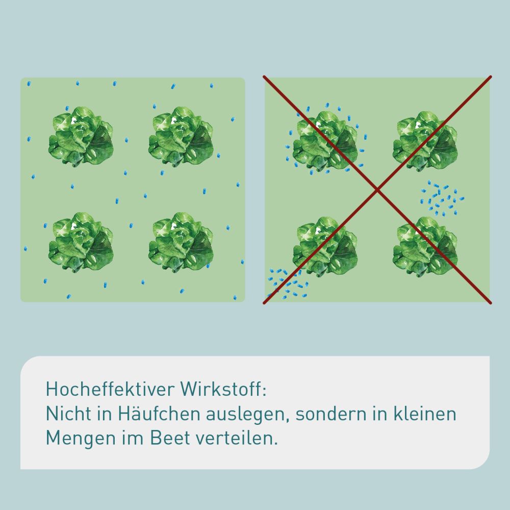 Plantura Bio-Schneckenkorn mit Power-Wirkstoff