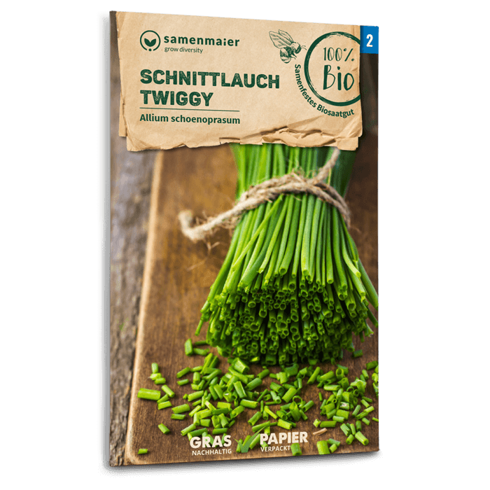 Bio-Schnittlauch 'Twiggy' Samen