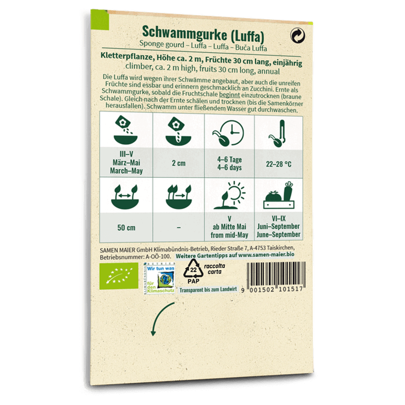 Bio-Schwammgurke (Luffa) Saatgut