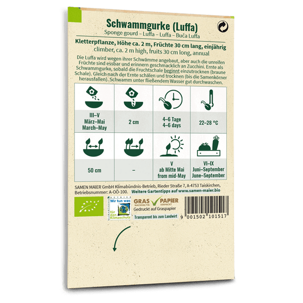luffa schwamm saatgut Bio-Schwammgurke (Luffa) kaufen