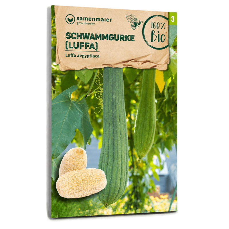 Bio-Schwammgurke (Luffa) Samen