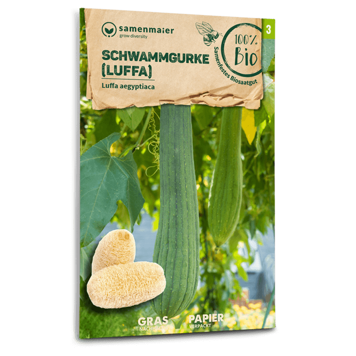 Bio-Schwammgurke (Luffa)