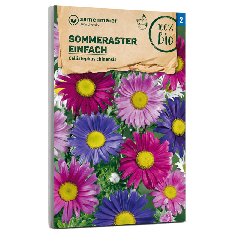 Bio-Sommeraster Mischung Samen