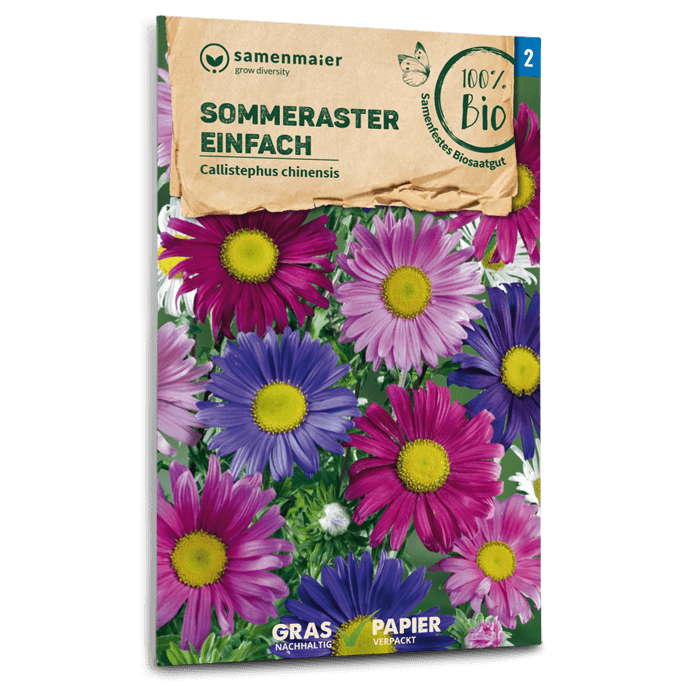 Bio-Sommeraster Mischung Samen
