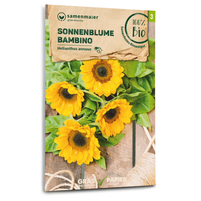 Bio-Sonnenblume 'Bambino' Samen