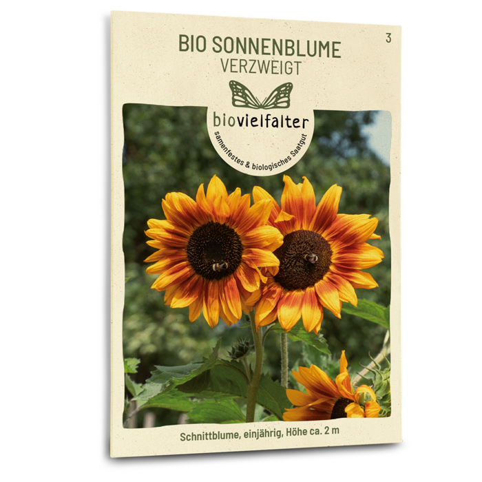Bio-Sonnenblume Verzweigt Samen