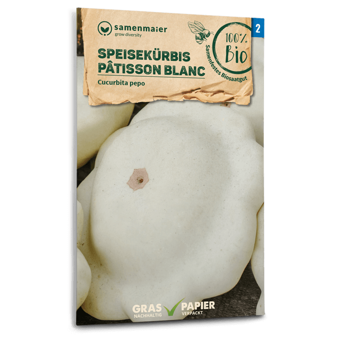 Bio-Speisekürbis 'Pâtisson blanc'